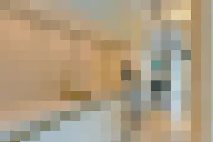 Dirk Breebaartstraat 8 Hoorn thumbnail 4