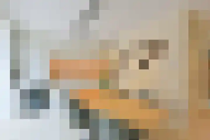 Dirk Breebaartstraat 8 Hoorn thumbnail 6