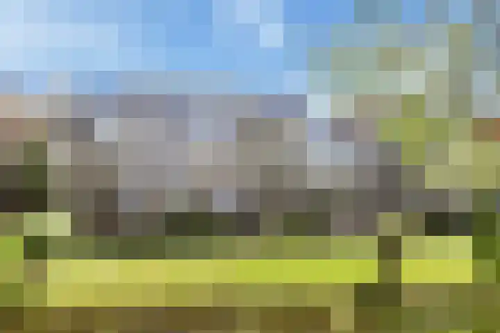 Dirk Buserf 194 Den Haag