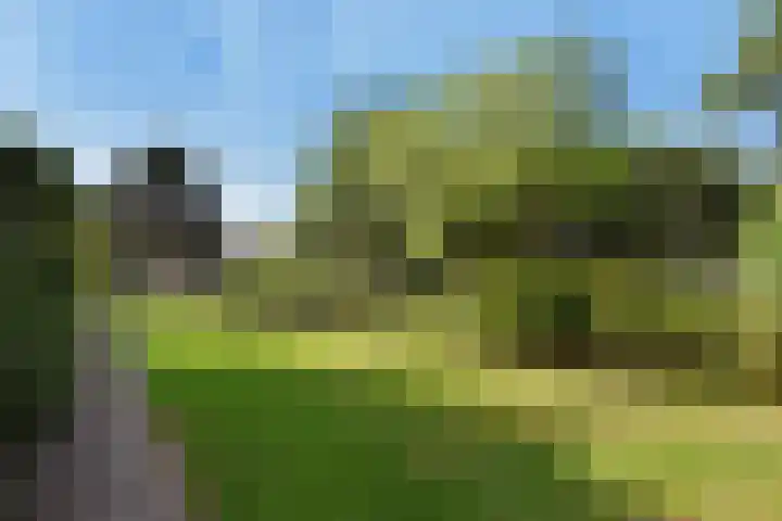 Dirk Buserf 194 Den Haag thumbnail 39