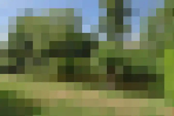 Dirk Buserf 194 Den Haag thumbnail 40