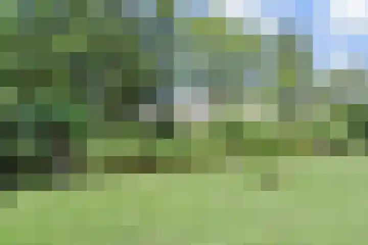 Dirk Buserf 194 Den Haag thumbnail 42