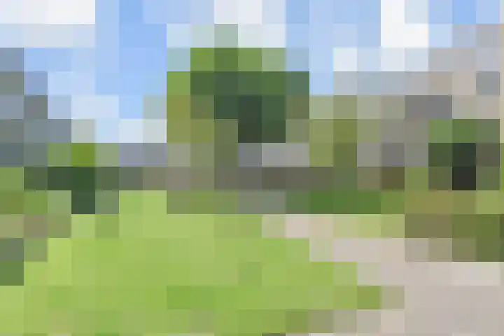 Dirk Buserf 194 Den Haag thumbnail 43