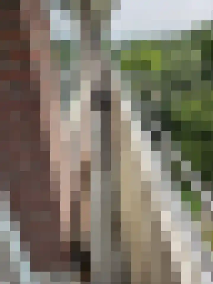 Dirk Costerplein 154 Delft thumbnail 4