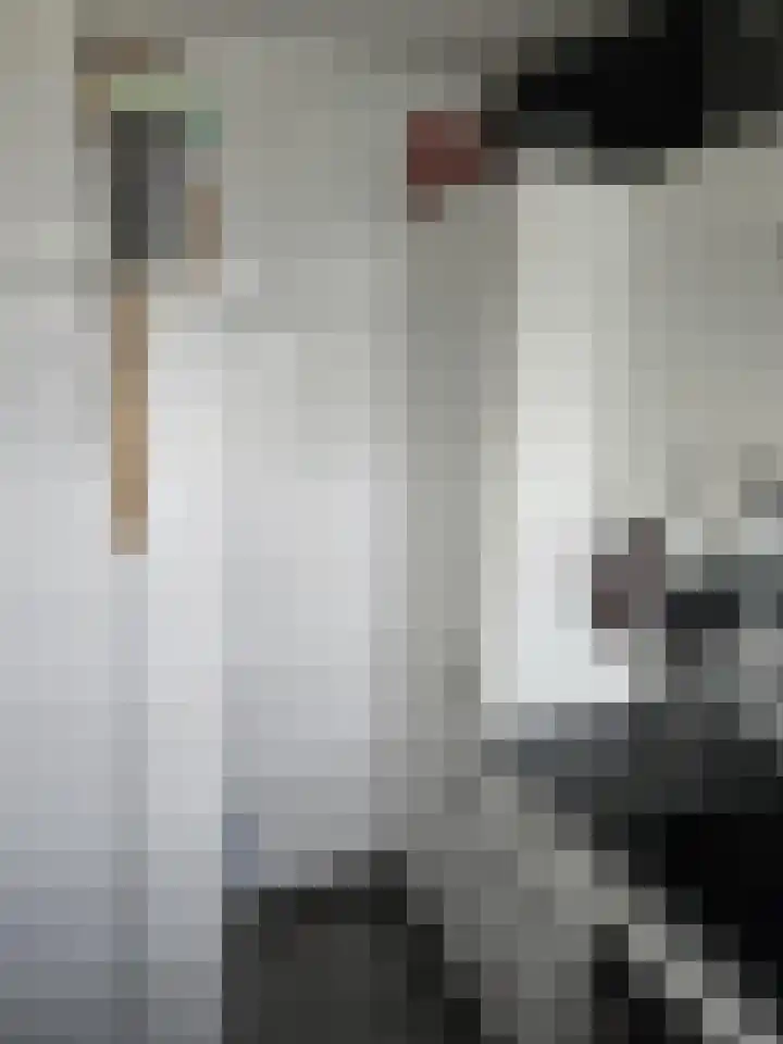 Dirk Costerplein 154 Delft thumbnail 9