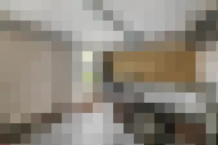 Dirk Costerplein 204 Delft thumbnail 17