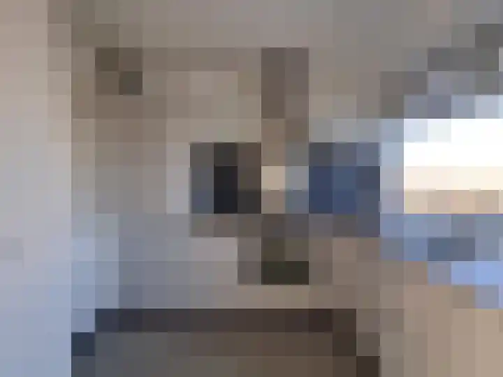 Dirk Costerplein 204 Delft thumbnail 7