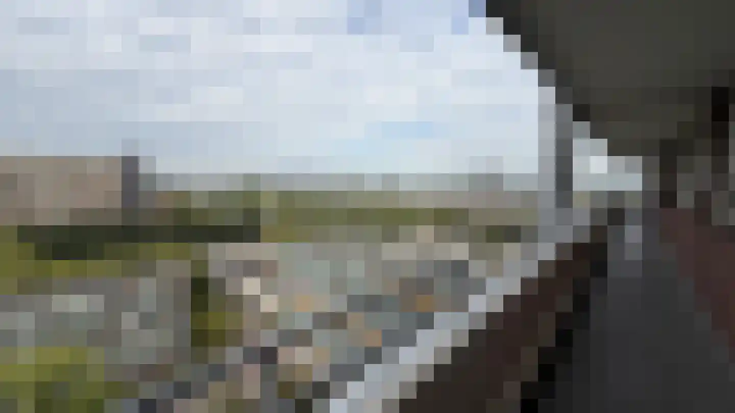 Dirk Costerplein 235 Delft thumbnail 16