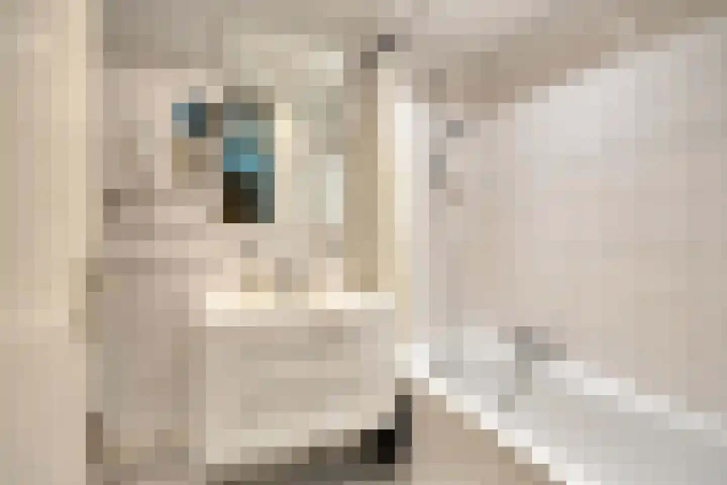 Dirk de Raetlaan 17 Wassenaar thumbnail 22