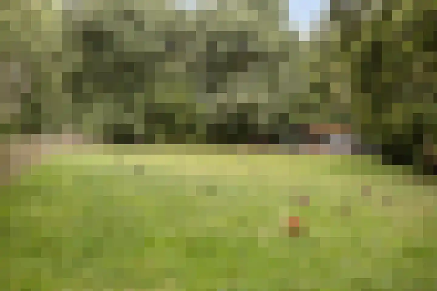 Dirk de Raetlaan 17 Wassenaar thumbnail 34
