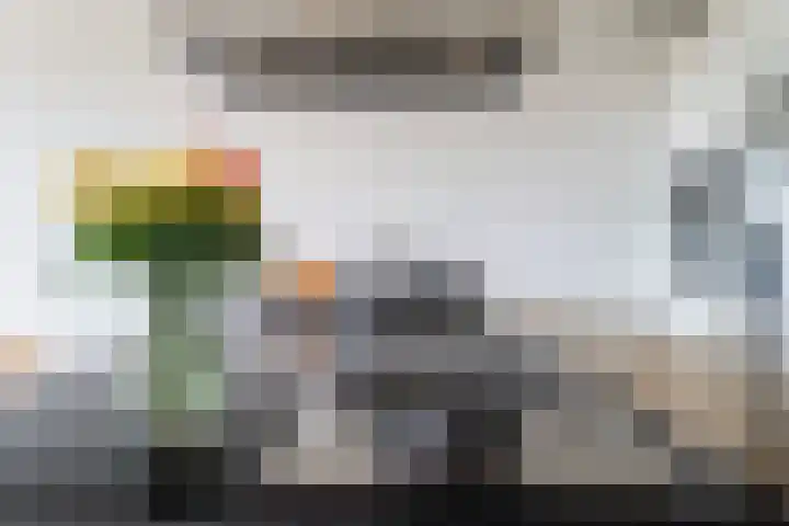 Dirk de Raetlaan 42 Wassenaar thumbnail 10