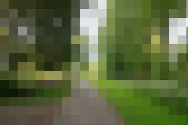 Dirk de Raetlaan 42 Wassenaar thumbnail 29