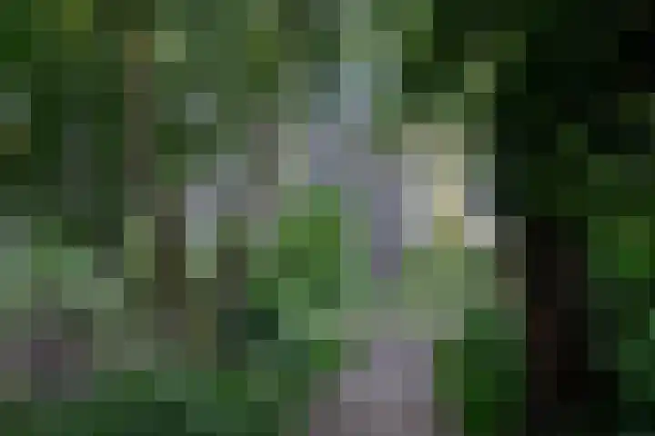 Dirk de Raetlaan 42 Wassenaar thumbnail 30