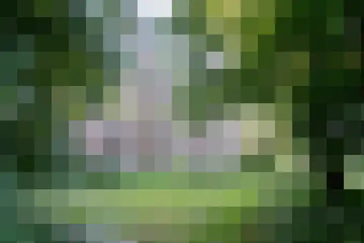 Dirk de Raetlaan 42 Wassenaar thumbnail 31