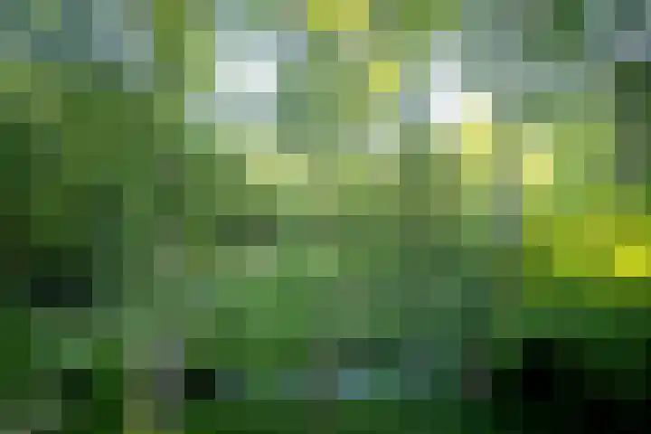 Dirk de Raetlaan 42 Wassenaar thumbnail 32