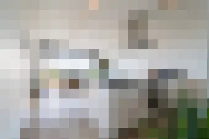 Dirk de Raetlaan 42 Wassenaar thumbnail 37