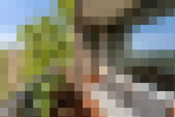 Dirk de Raetlaan 42 Wassenaar thumbnail 4