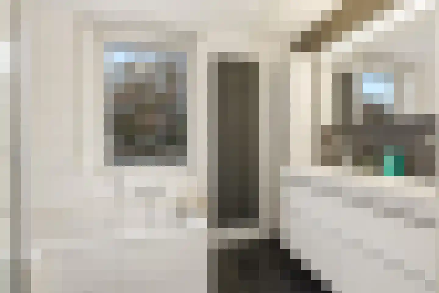 Dirk de Vosstraat 5 Asten thumbnail 19