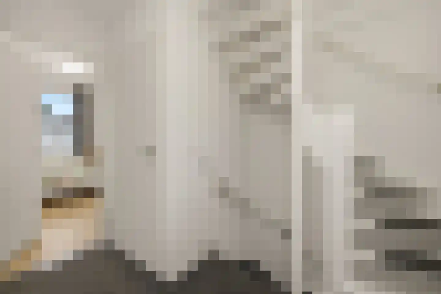 Dirk de Vosstraat 5 Asten thumbnail 27