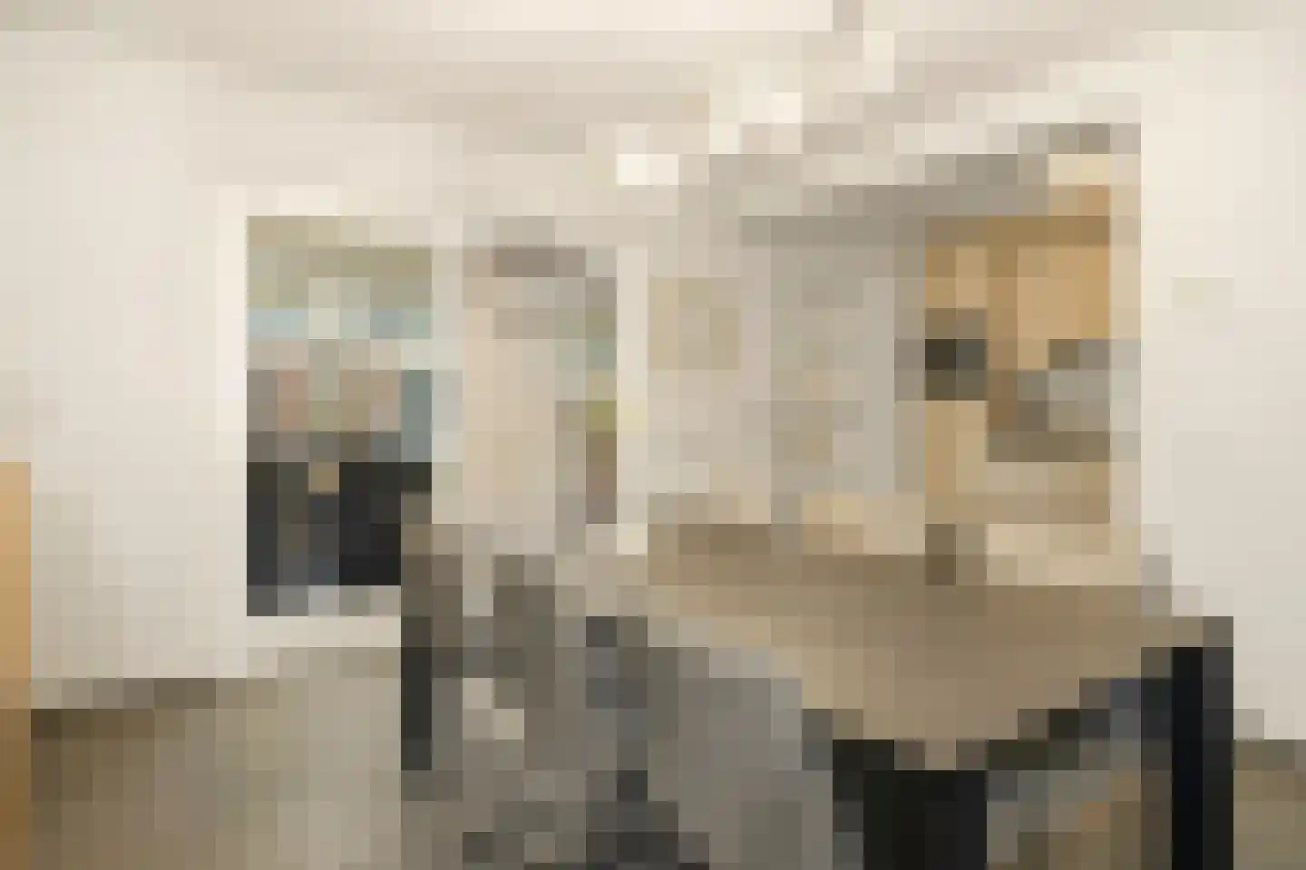 Dirk de Vosstraat 5 Asten thumbnail 9