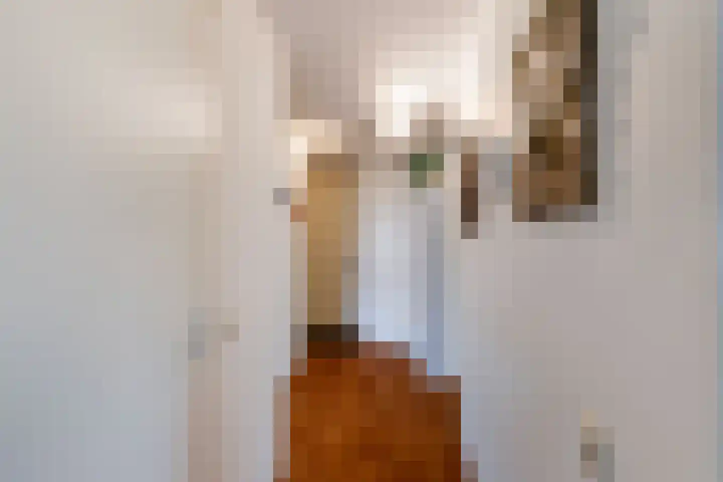 Dirk Gerhardtstraat 25 Schiedam thumbnail 6