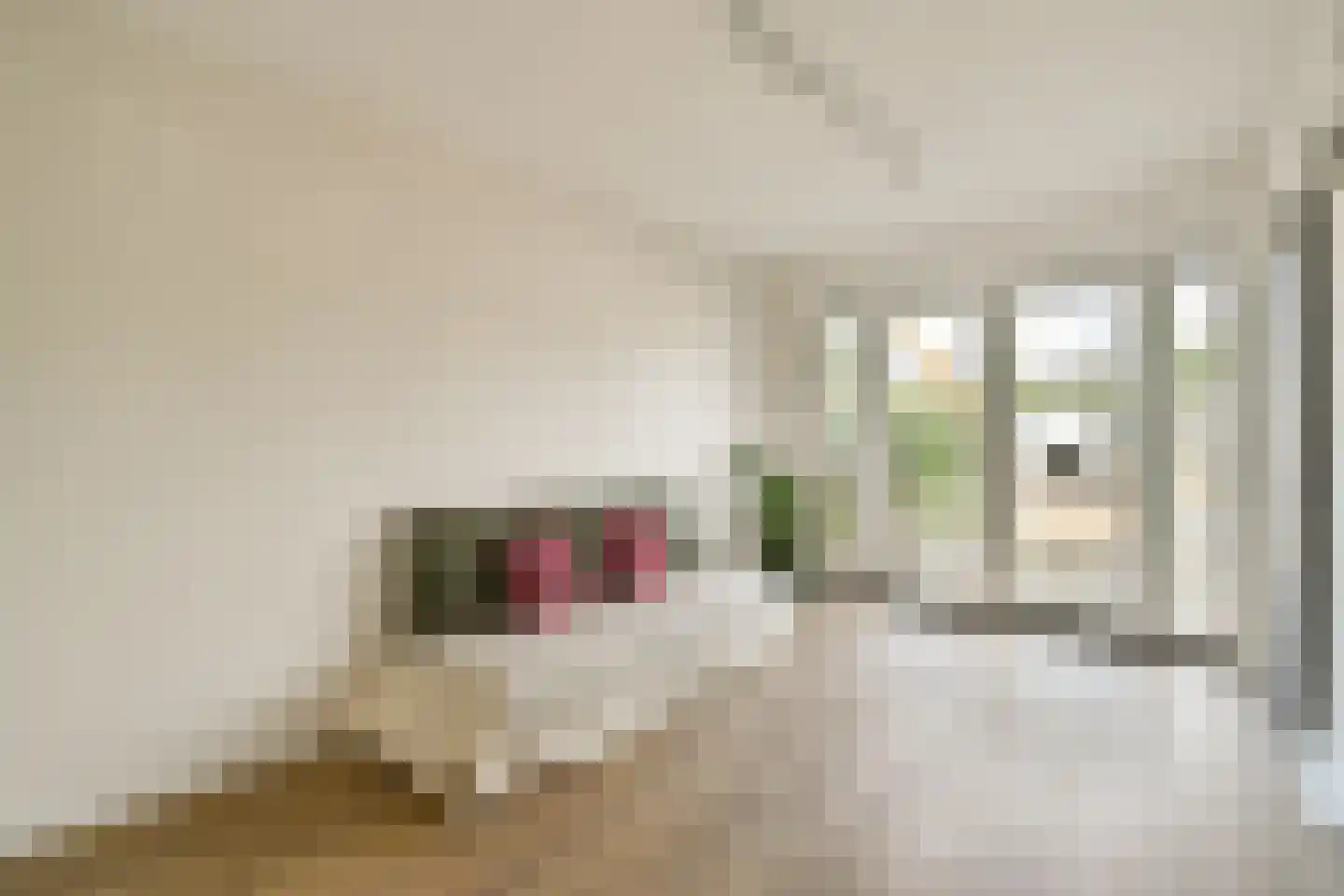 Dirk Gerhardtstraat 33 Schiedam thumbnail 12