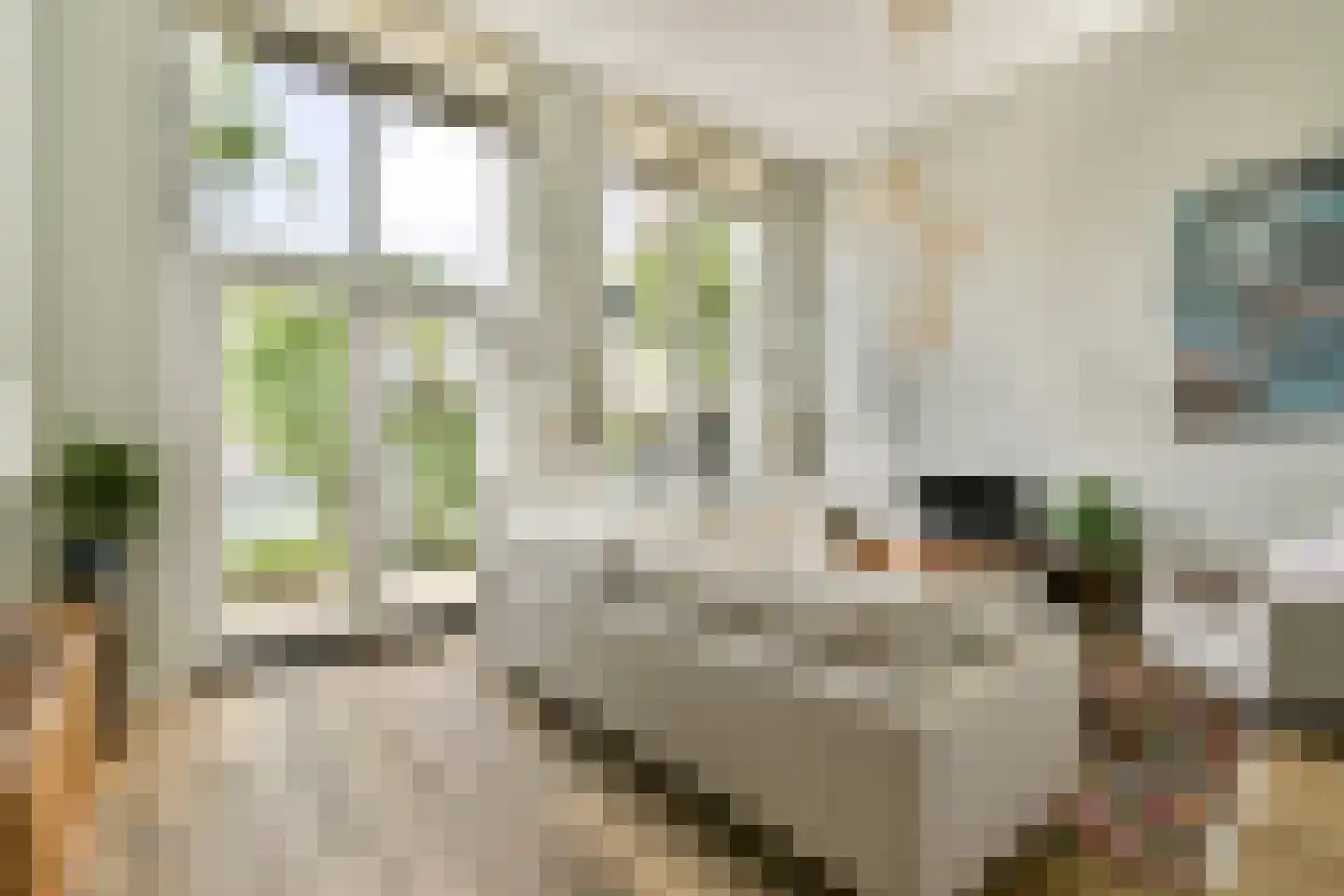 Dirk Gerhardtstraat 33 Schiedam thumbnail 7