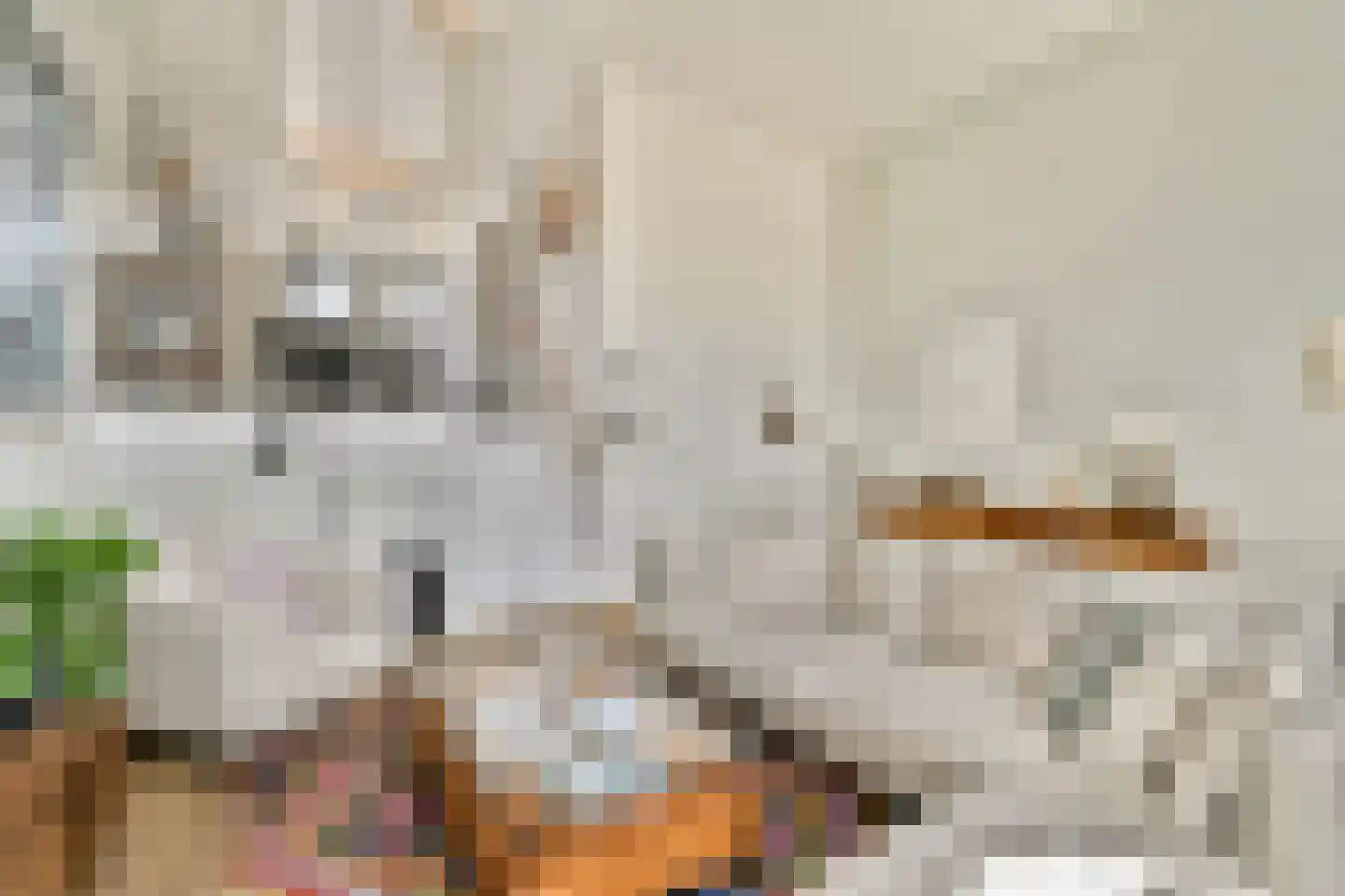 Dirk Gerhardtstraat 33 Schiedam thumbnail 8