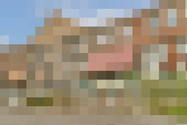 Dirk Gerhardtstraat 47 Schiedam thumbnail 33