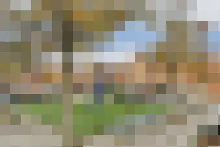 Dirk Gerhardtstraat 47 Schiedam thumbnail 35