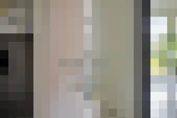 Dirk Haan Erf 14 Warder thumbnail 10