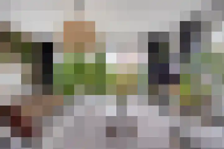 Dirk Haan Erf 14 Warder thumbnail 11