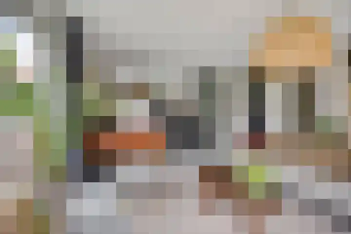 Dirk Haan Erf 14 Warder thumbnail 12