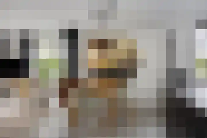 Dirk Haan Erf 14 Warder thumbnail 14