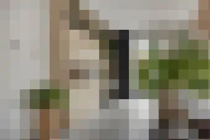 Dirk Haan Erf 14 Warder thumbnail 17