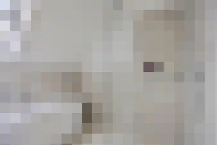 Dirk Haan Erf 14 Warder thumbnail 20