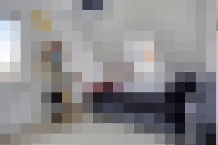 Dirk Haan Erf 14 Warder thumbnail 21