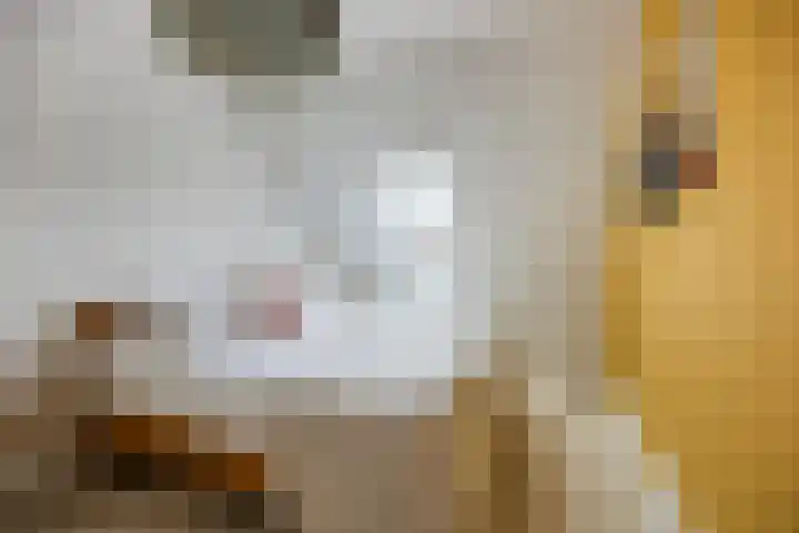 Dirk Haan Erf 14 Warder thumbnail 23
