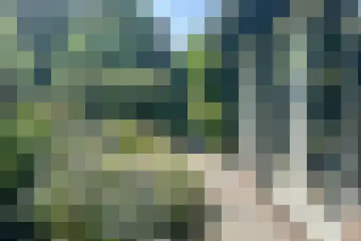 Dirk Haan Erf 14 Warder thumbnail 29