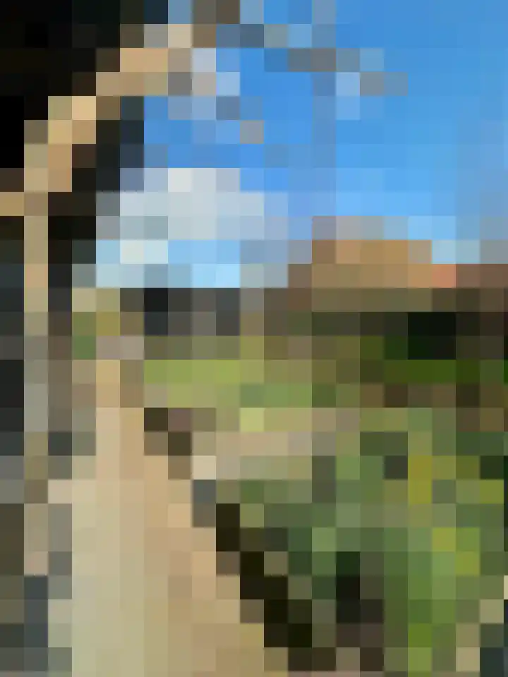Dirk Haan Erf 14 Warder thumbnail 30