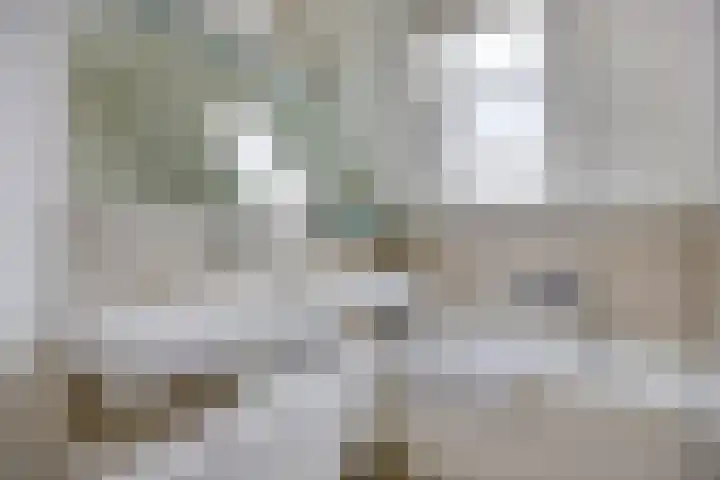 Dirk Haan Erf 14 Warder thumbnail 4