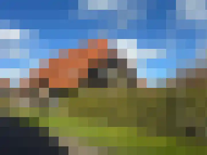 Dirk Haan Erf 14 Warder thumbnail 6