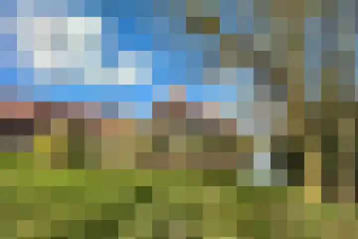 Dirk Haan Erf 14 Warder thumbnail 7