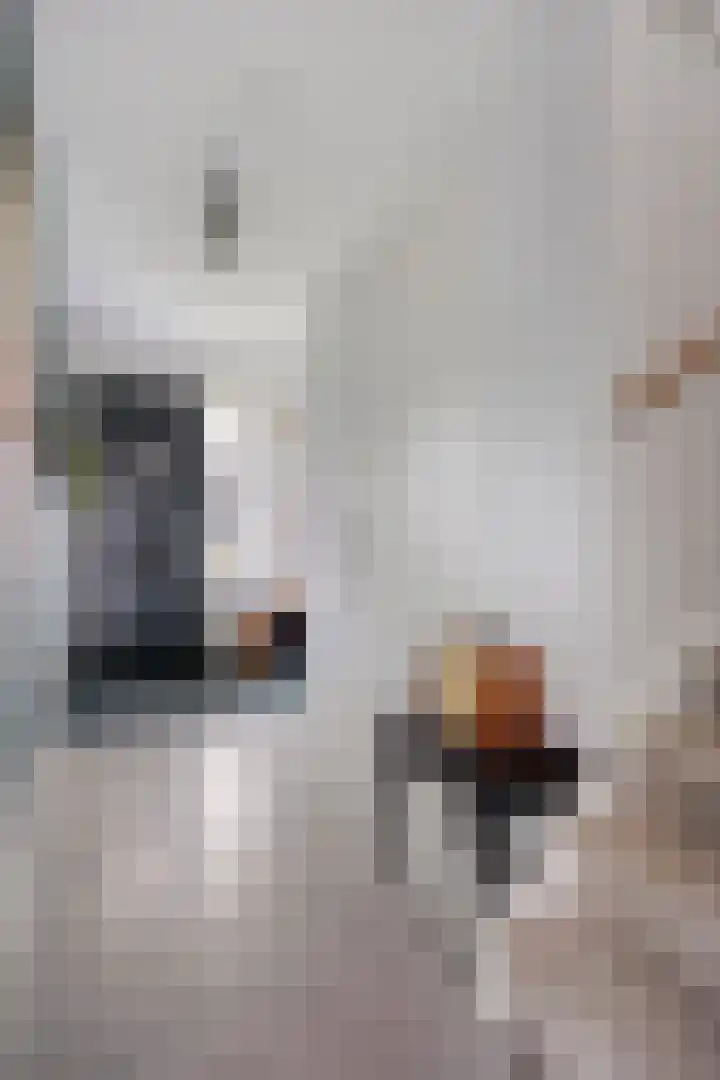 Dirk Haan Erf 14 Warder thumbnail 8