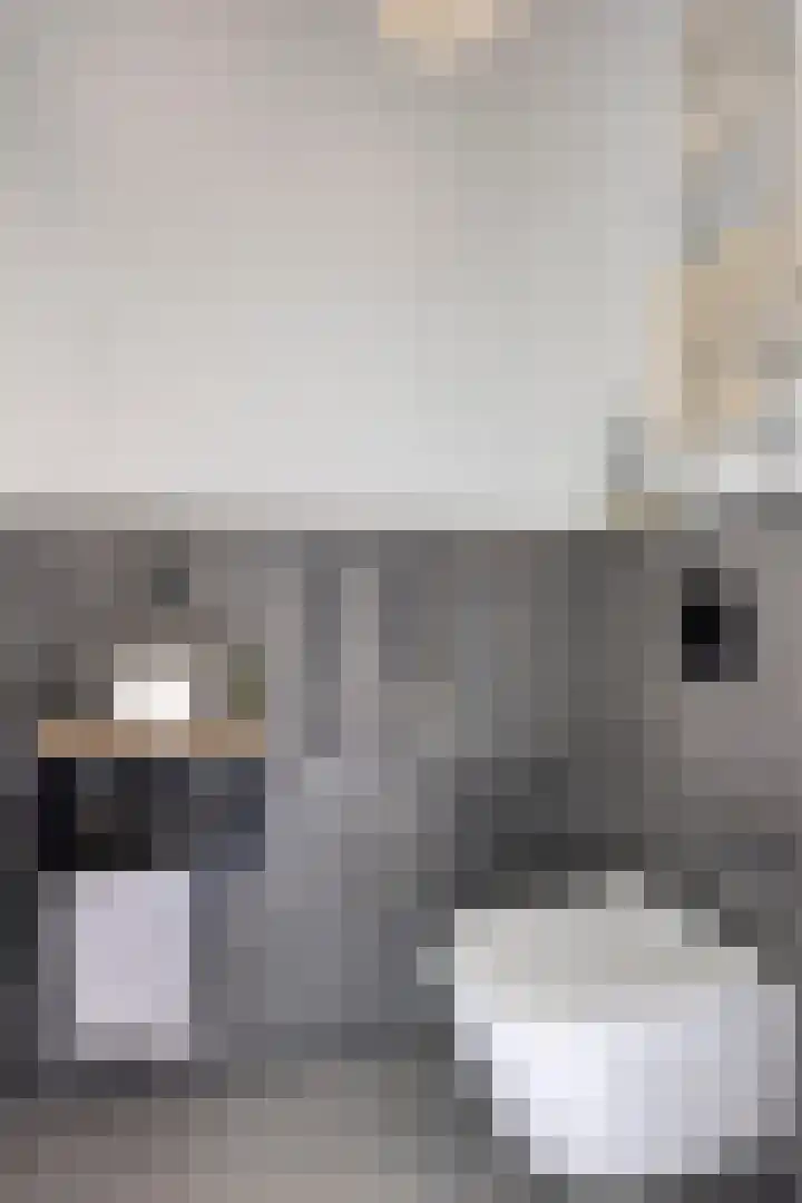 Dirk Haan Erf 14 Warder thumbnail 9
