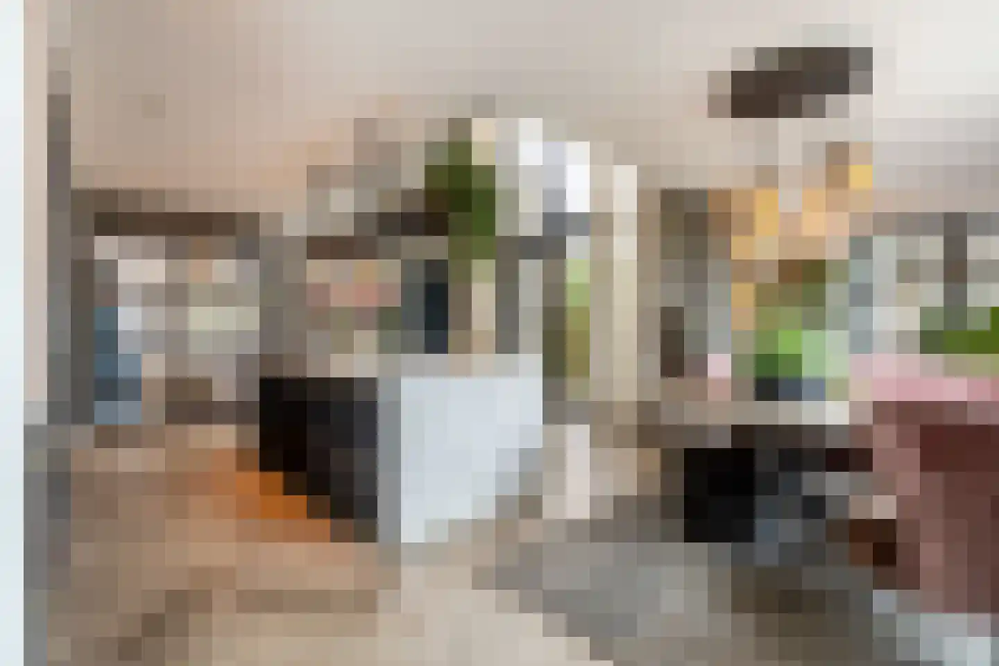 Dirk Haan Erf 9 Warder thumbnail 15
