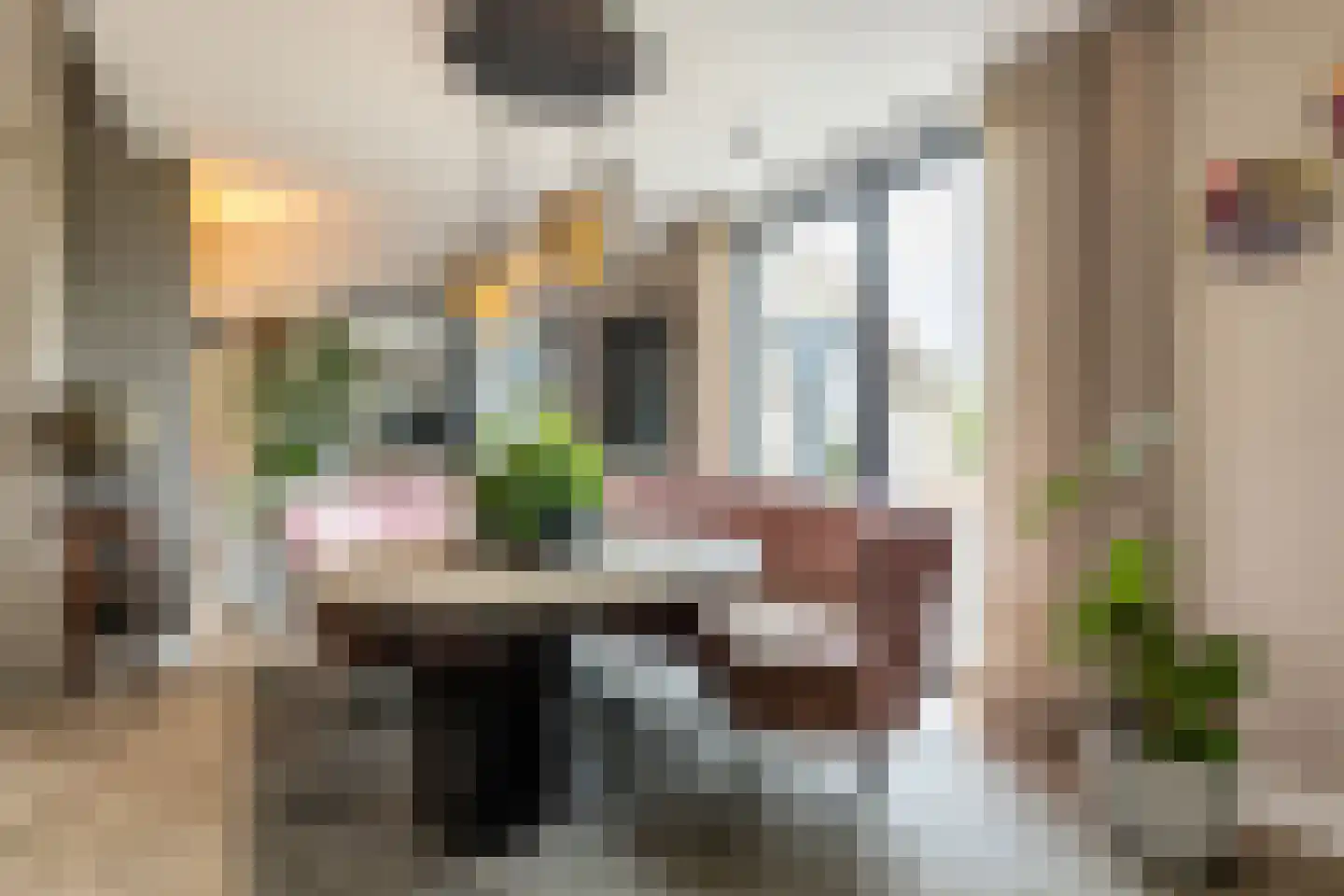 Dirk Haan Erf 9 Warder thumbnail 17