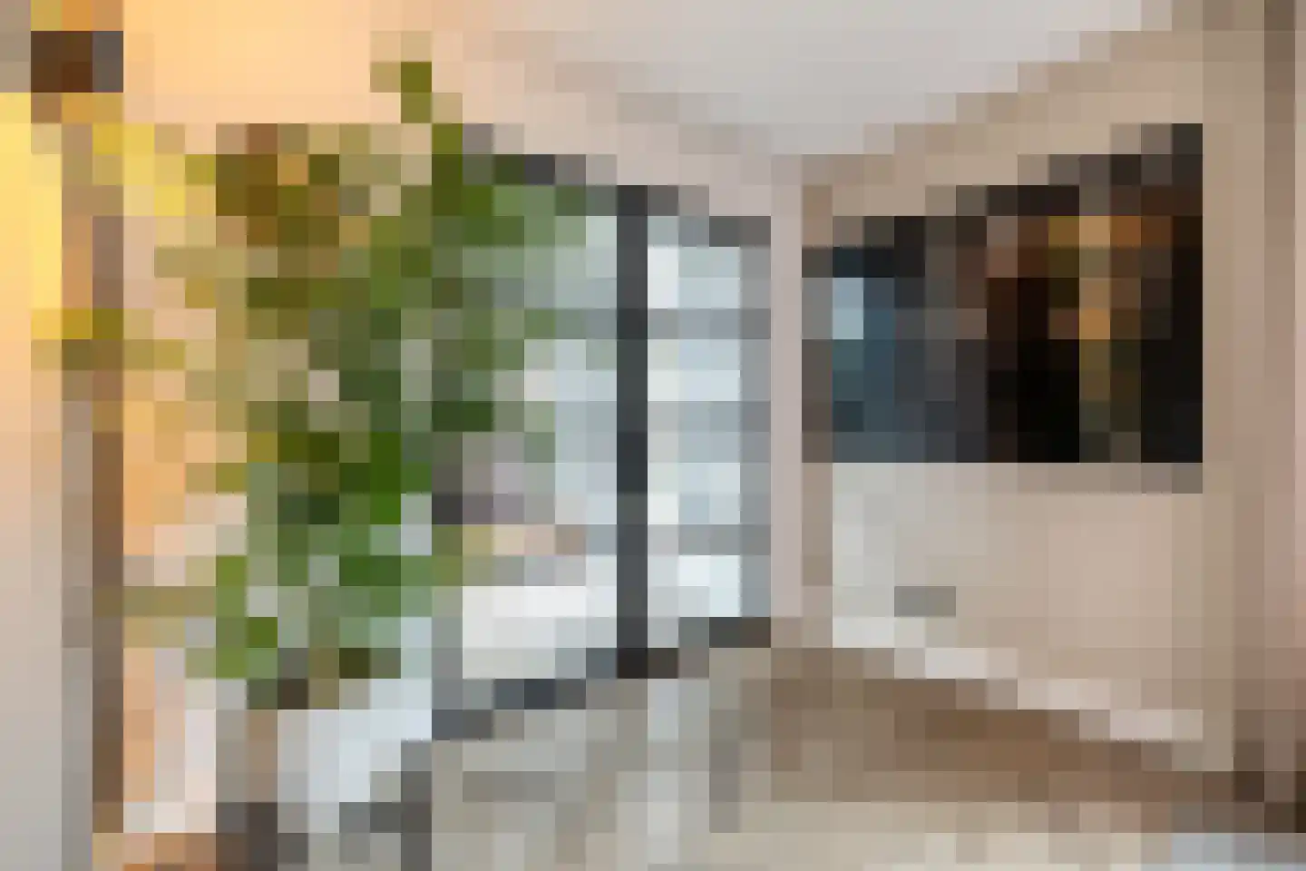 Dirk Haan Erf 9 Warder thumbnail 18