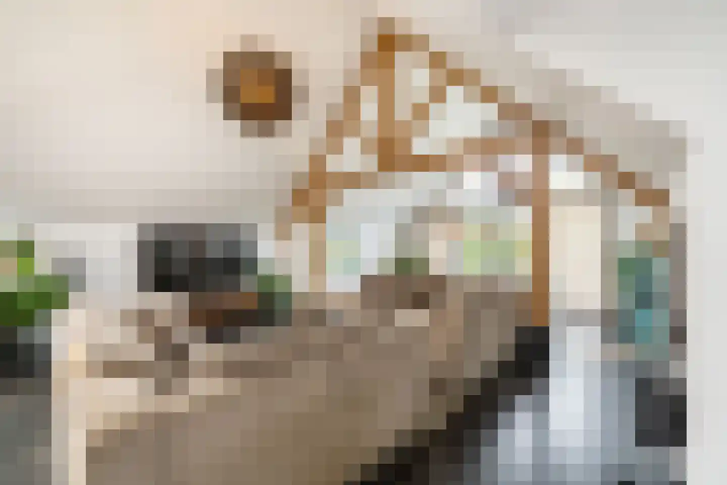 Dirk Haan Erf 9 Warder thumbnail 20
