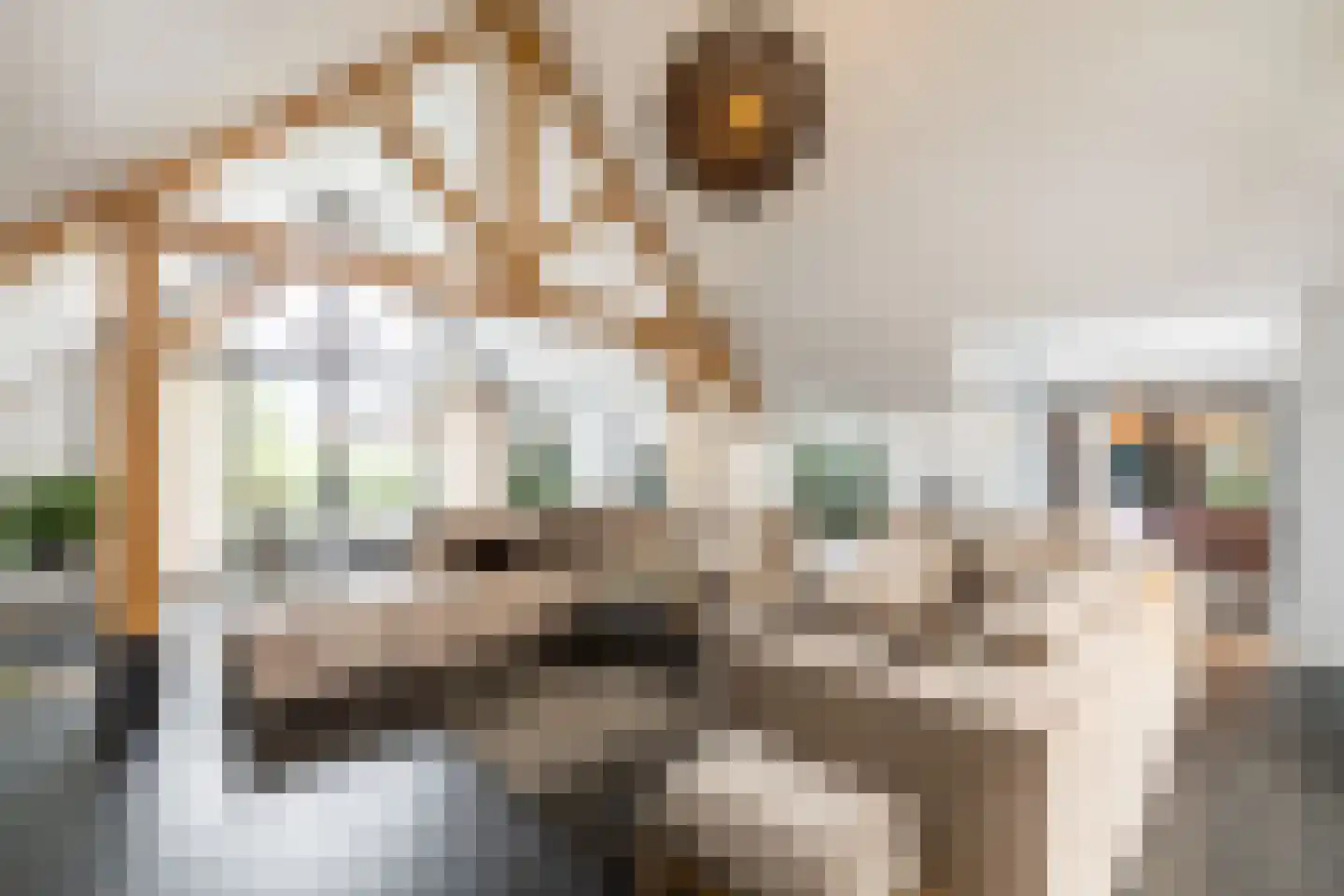 Dirk Haan Erf 9 Warder thumbnail 22